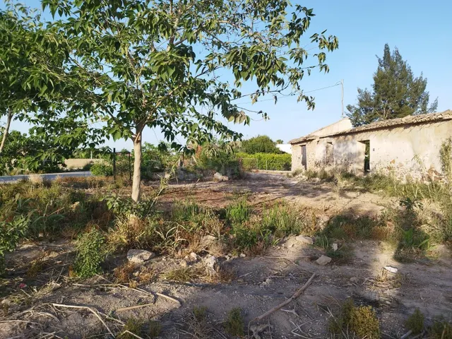 Parcela de venta en Catral