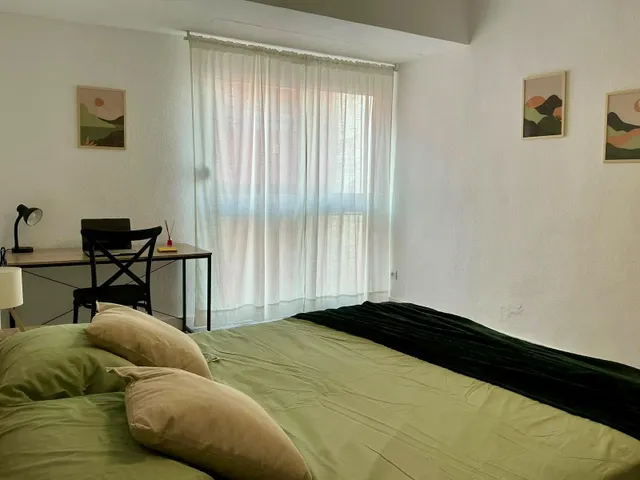 ALQUILER DE AMPLIA VIVIENDA REFORMADA CON 5 DORMITORIOS ZONA CAROLINAS ALTAS — 6