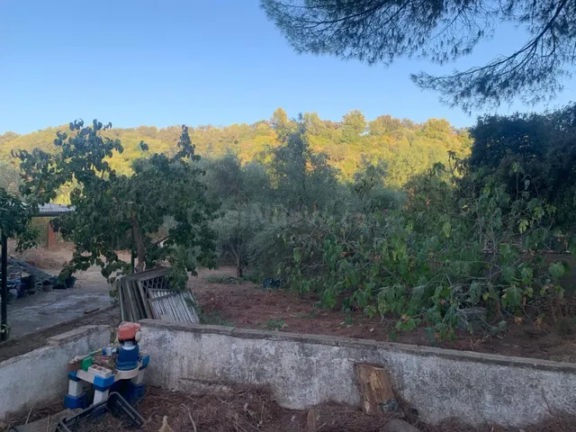 PARCELA ZONA DOÑA MANUELA - foto 2