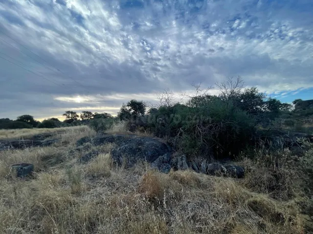 TERRENO RUSTICO EN MAJADACABRAS, ALDEA DEL CANO - foto 3