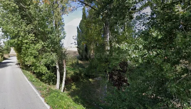 Parcela Rústica en Venta en Paraje de La Florida, Cuéllar. R - foto 5