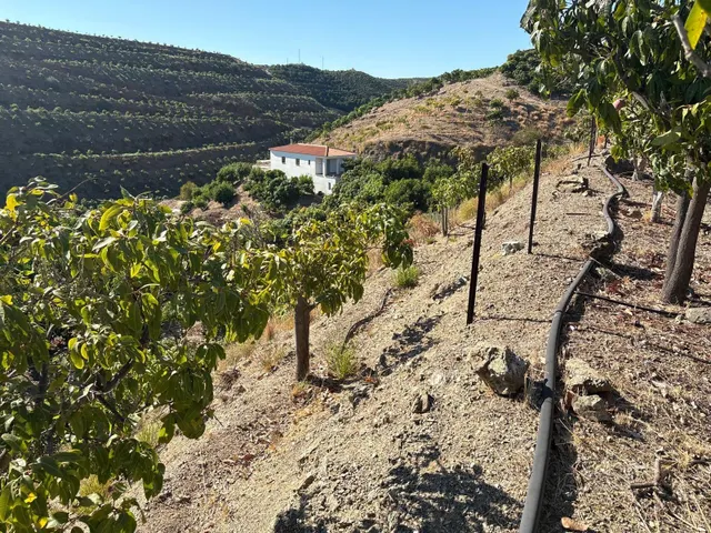 Finca rústica con cultivos y pozos propios en Vélez-Málaga — 10