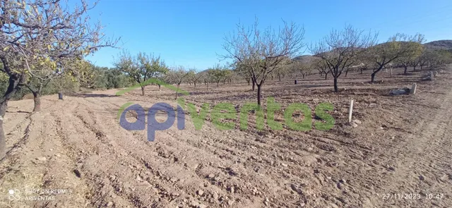 Terreno-parcela en Purias — 4