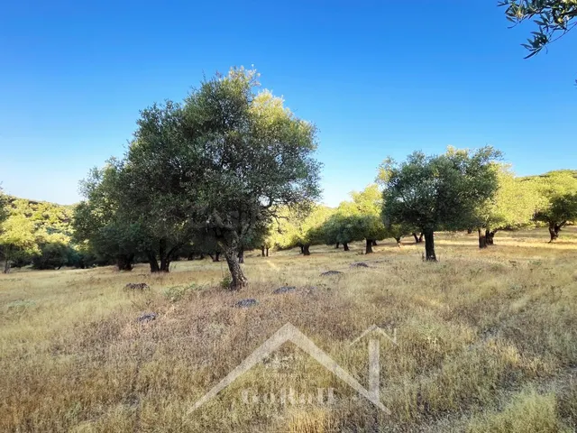 Suelo rústico en Venta en Constantina Sevilla — 16