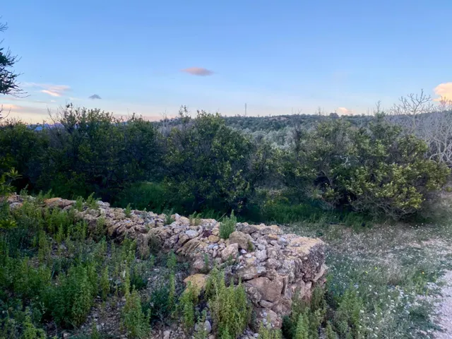 Encantador terreno con agua y luz de 1,2 ha — 7