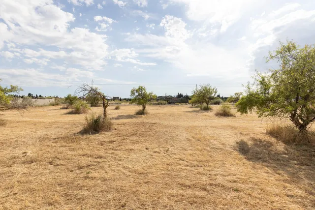 Terreno rural en venta - LOS TABLAZOS — 14