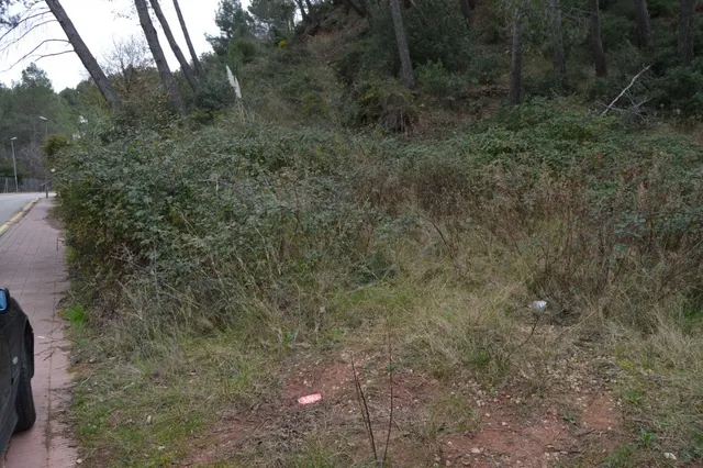 PARCELA EN VENTA EN EL MEJOR SITIO DE CORBERA DE LLOBREGAT (BARCELONA) — 7