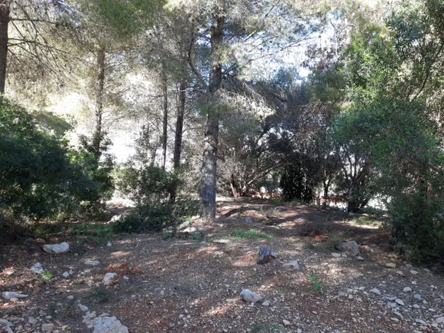 Parcela en zona Corral de calafat — 11