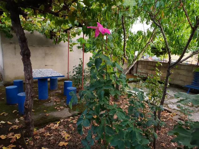 Amplia Casa Solar en Cuatrovientos, Ponferrada - €139.000 — 11