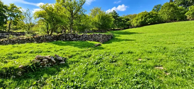 Exclusiva finca rústica de 3.899 m2 con proyecto de vivienda y autorización favorable de la crotu en sel de la carrera .- — 10