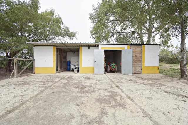 ¡¡TERRENO DE 10.000M2 EN LAS PACHECAS!! (ZONA NO INUNDABLE) — 24