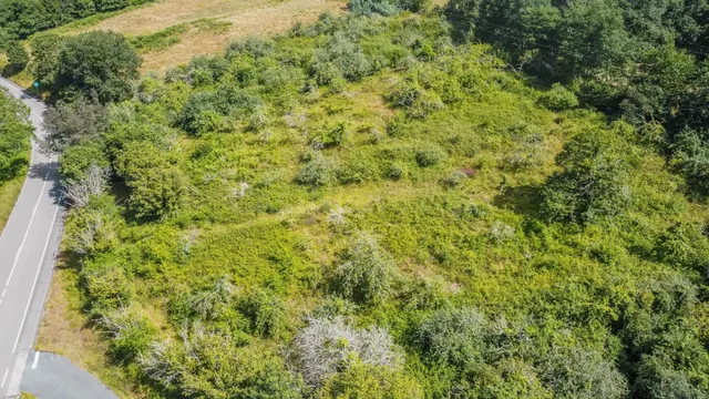 Terreno en Coya Piloña - foto 3