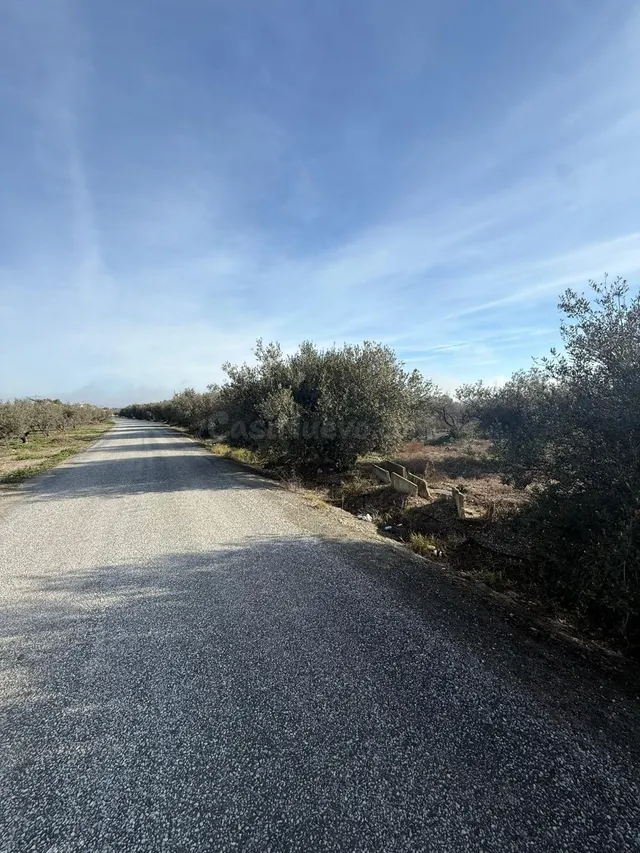 PARCELA CON LICENCIA Y PROYECTO - foto 2