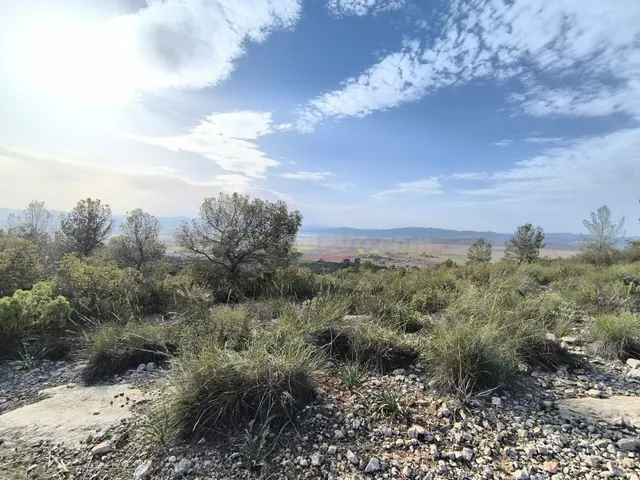 Parcela 999m² en venta - Ayuntamiento — 5