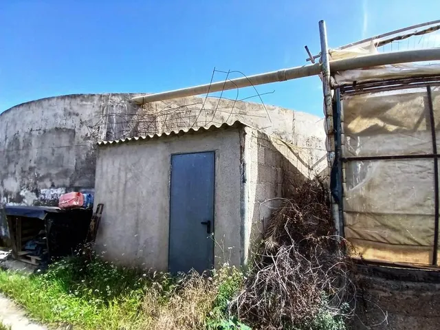 Casa con finca en Buenavista del norte — 14