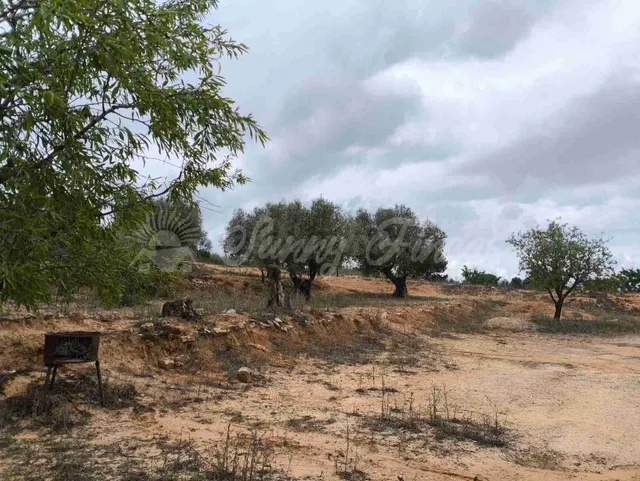 Suelo urbanizable en Venta en Yecla Murcia - foto 4