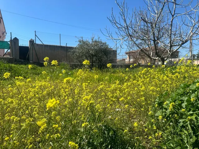 Terreno urbanizable en Ogijares — 10