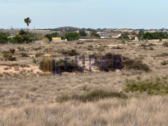 Se vende una hermosa parcela rústica en Moralet , ALICANTE - foto 4