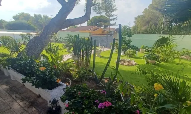 Villa de 3 dormitorios, 3 baños en campo amor ( Orihuela Costa ) — 35