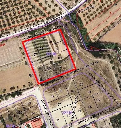 ATENCIÓN PROMOTORES: CONJUNTO DE 8 PARCELAS EN MAS CARPA - foto 3
