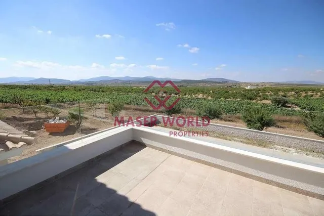 Villas de Obra Nueva en Pinoso en parcelas rústicas — 4