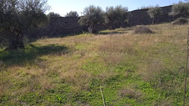 Solar urbano cercano a la plaza de Valdefuentes — 4