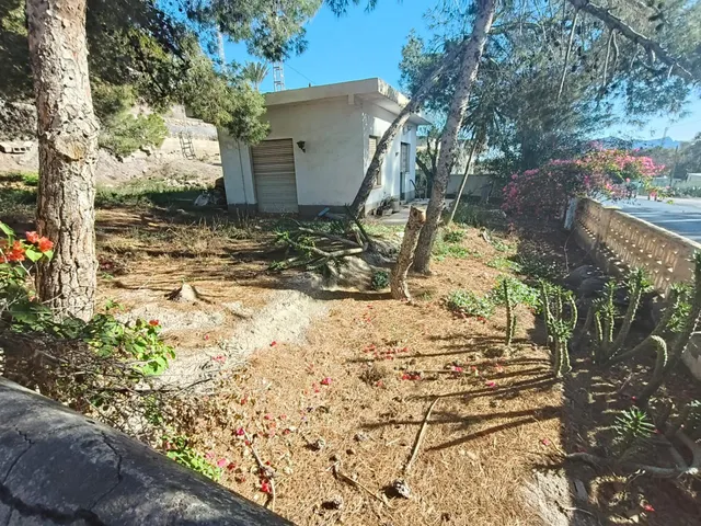 PARCELA CON EDIFICACION EN TODOSOL — 10