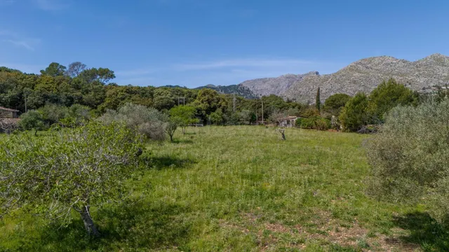 Finca rústica con carácter tradicional y terreno de 7.500 m2 - foto 5