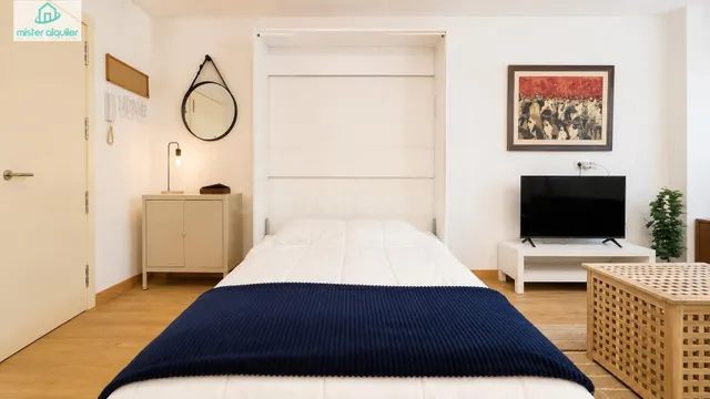 ESTUDIO REFORMADO EN SEGUNDA LÍNEA DE PLAYA DE SAN JUAN - foto 3
