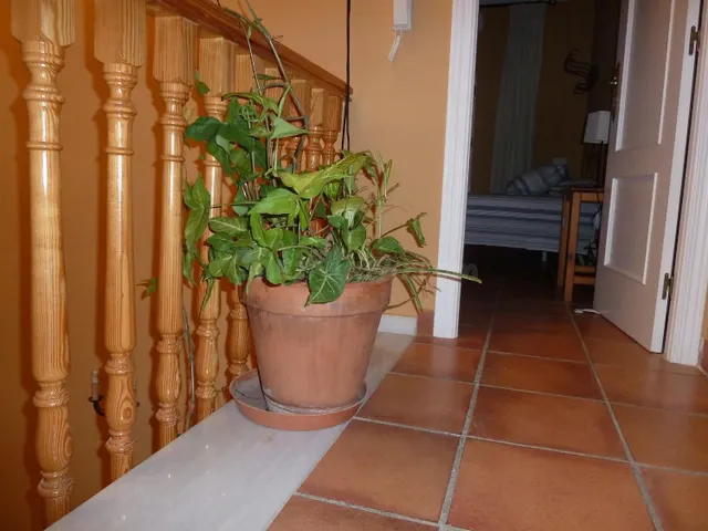 ESTUPENDA CASA EN CARCHUNA - foto 5