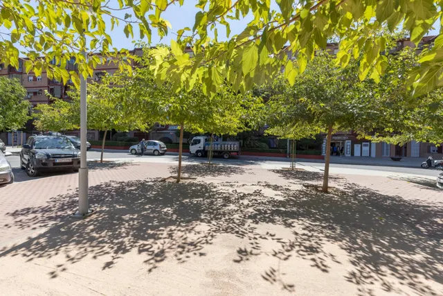 ⭐ LOCAL EN ESQUINA EN GRANADA CAPITAL – CREA TU PROPIO PROYECTO DESDE CERO — 17