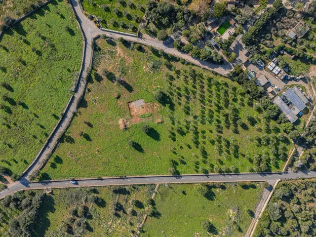 Gran parcela con proyecto en Manacor - foto 3