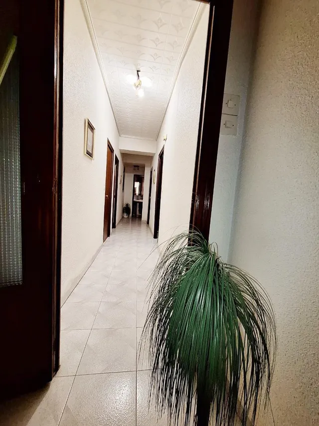 TRASPASO Y VENTA POR JUBILACIÓN CON VIVIENDA INCLUIDA — 39