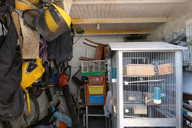 En venta maravillosa finca Rustica de Olivos — 32