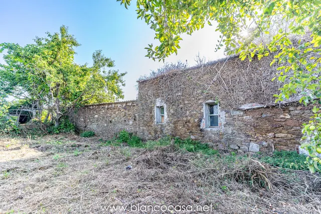 🏡 ¡Oportunidad en Carballo! Dos casas con finca para REFORMA - foto 2