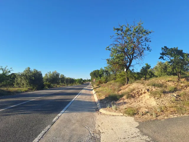 Terreno rústico a solo 3 km de Biar | Posibilidad de construir vivienda y conectar a agua y electricidad — 18