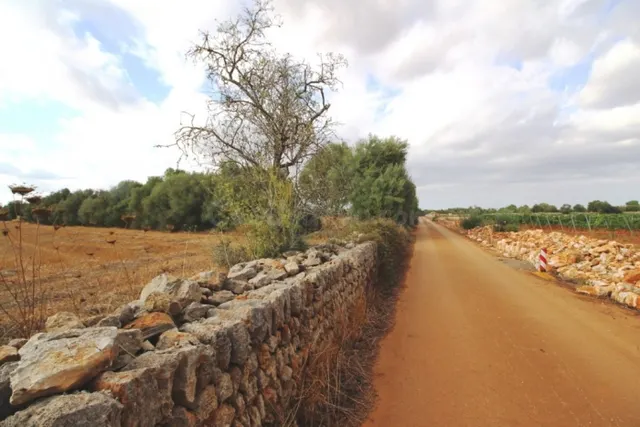 Atractiva parcela entre Felanitx y Porreres - foto 3