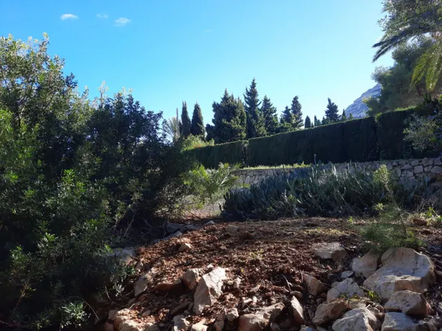 Parcela en zona Corral de calafat — 7