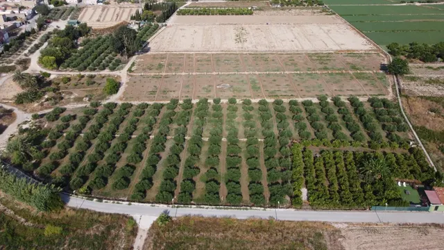 ✨ ¡EXCELENTE OPORTUNIDAD DE INVERSIÓN! PARCELA AGRARIA DE 24 - foto 5