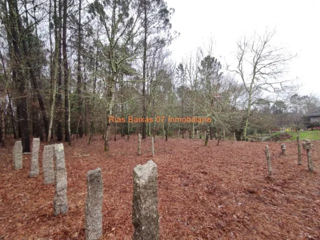 REF  2869 CASA PIEDRA PARA REFORMA INTEGRA CON 4024m2 TERRENO ( PONTEAREAS) — 14