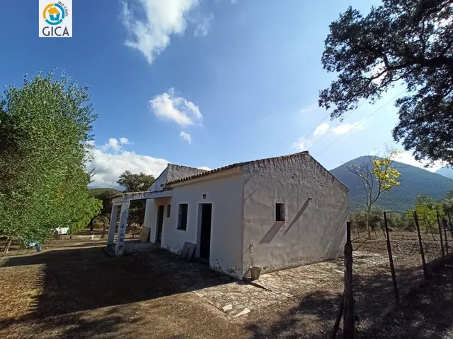 CASA CON PARCELA  EN LA SIERRA DE CADIZ -EL BOSQUE — 15