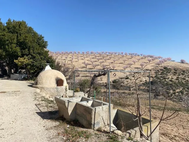 ESTUPENDA FINCA EN FONTANARES CON CASA RUSTICA - foto 5