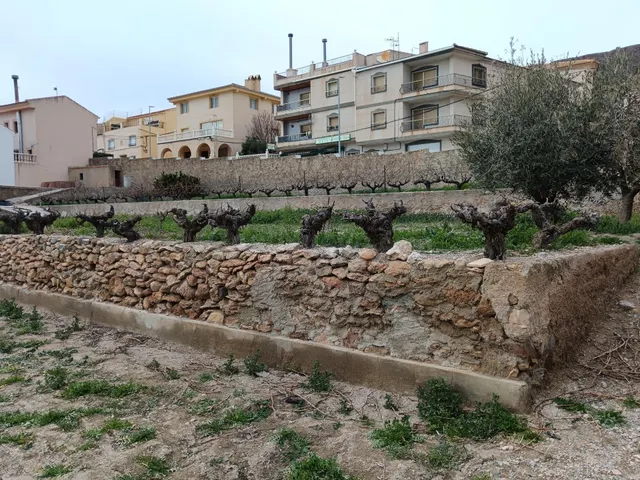 Oportunidad única en Oría (Almería)