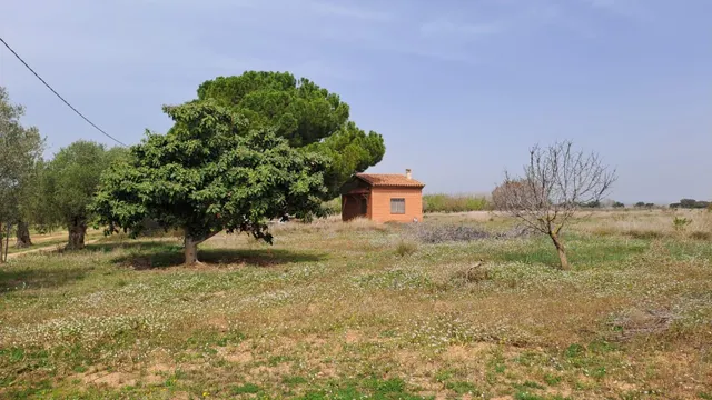 Finca rústica en venta en Constanti — 18