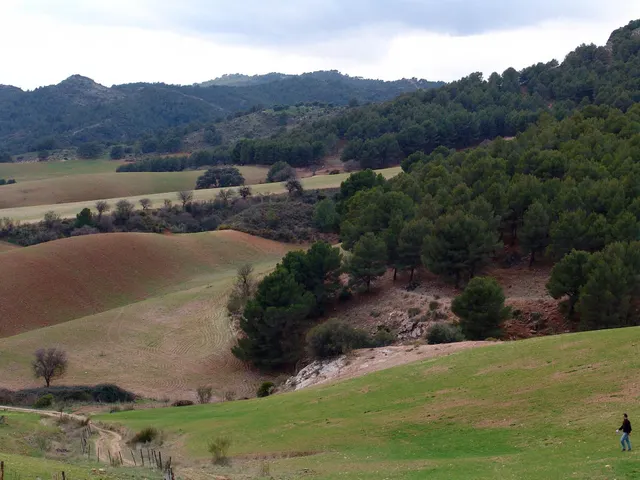 Impresionante finca edificable cerca de Málaga — 23
