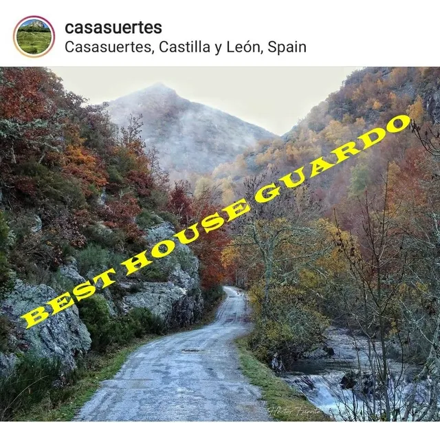 Terreno Urbano en CASASUERTES (Burón) — 6