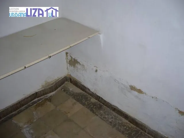 MAGNIFICA PLANTA BAJA EN PLENO CENTRO DE SAN VICENTE!!! — 23