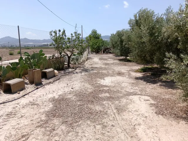 Se vende finca en Huércal-Overa, El Saltador!!!! - foto 3