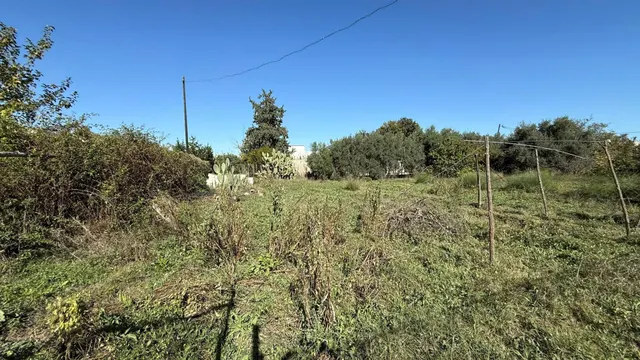 Oportunidad de Inversión en Terreno Rústico - La Alberca, Murcia — 5