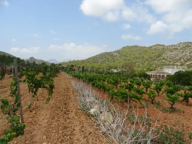 Terreno construible en Lliber - foto 3